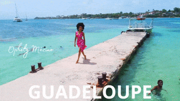 Guadalupe Ophelie GIF