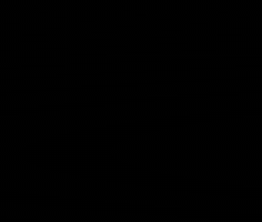 Czech Cesky GIF