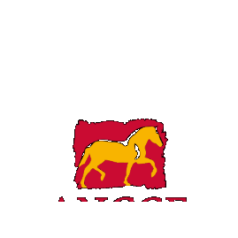 ANCCE-Bélgica Sticker