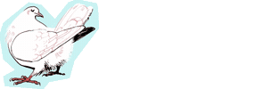 Chabd Sticker