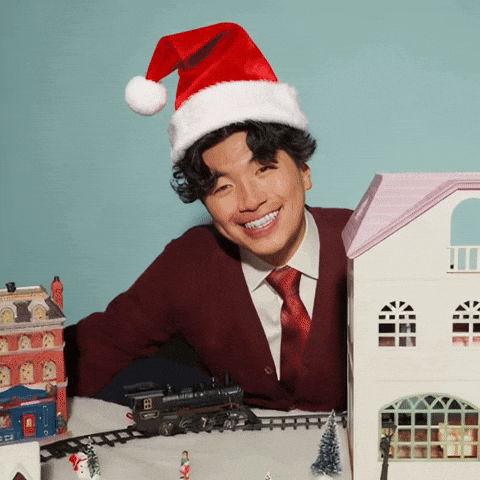 Christmas GIF by New 11