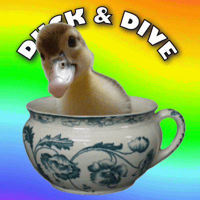 giphy.gif