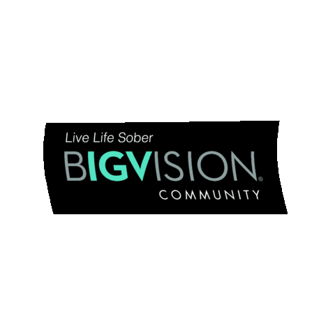 BIGVISION Sticker