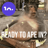 Lkn Ape Meme GIF by Lockness