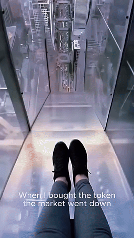 Fun GIF