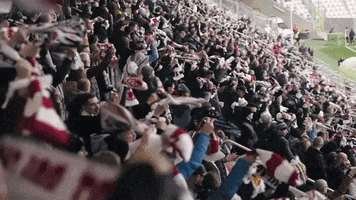 Fans Supporters GIF by LKS Lodz