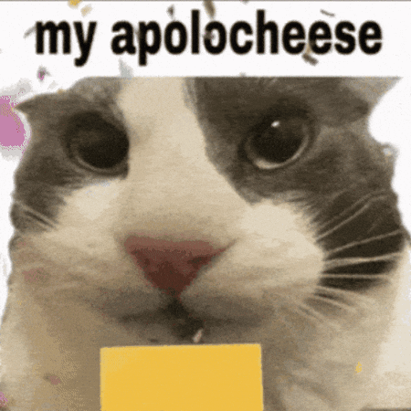 Sorry Cat GIF