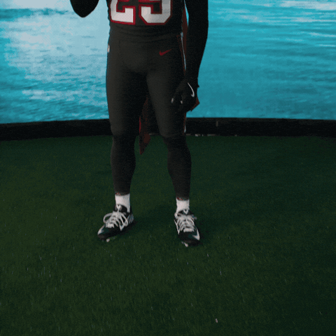 Bucs GIF by Tampa Bay Buccaneers