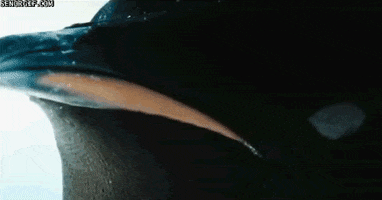 turning video games GIF by Cheezburger