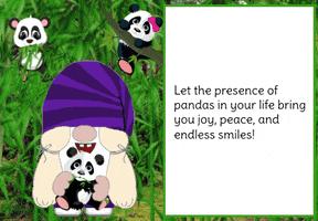 Panda Bear Gnome GIF
