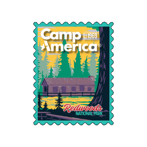 Redwoods Sticker by Camp America