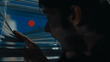 Spying Music Video GIF by Vundabar