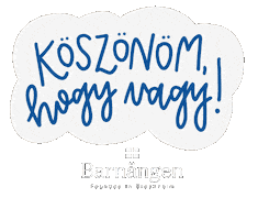 Barnängen Sticker