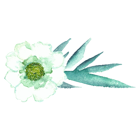 Flower Spring Sticker by Spiritus Naturae