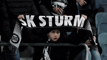 Bundesliga Fans GIF by SK Sturm Graz