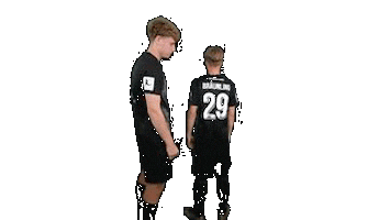 Loewen Sticker by KSV Hessen Kassel e.V.