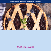 Blueberry GIF
