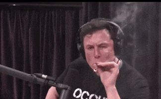 Elon Musk GIF