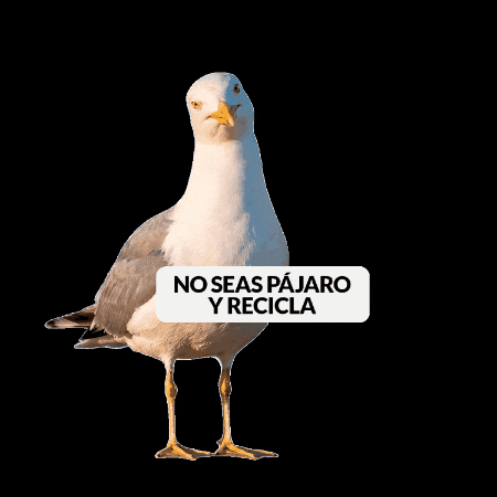 Proyectolibera GIF by ecoembes