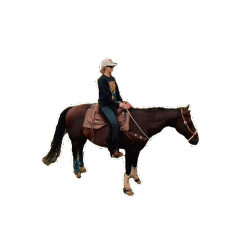 Cant Sit Still Wild Horses Sticker by Lainey Wilson