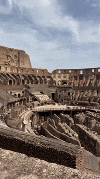 Colosseum-real-colosseum-colosseo-parcocolosseo-uPBzVm14E7MQhDcx1Y