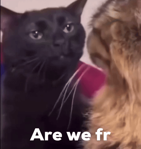 Bruh GIF