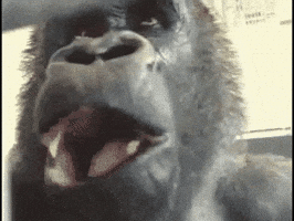 Shock What GIF