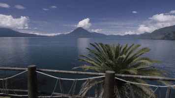 marlylactancia GIF