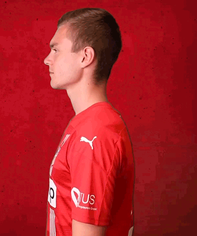 Horn 3Liga GIF by FSV Zwickau