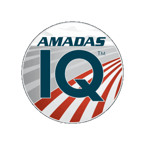 Iq Sticker by AMADAS Industries