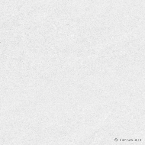 GIF by Lurnex