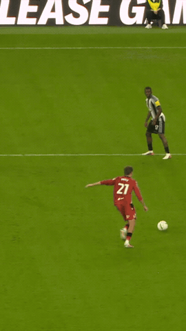 West Brom Goal GIF by West Bromwich Albion