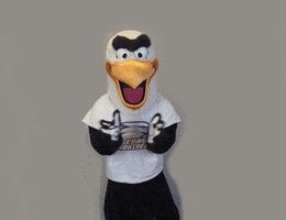 Lets Go Gold GIF by Georgia Southern University