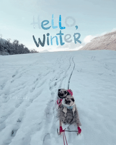 Let It Snow Winter GIF
