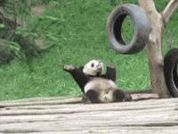 moving pictures gif funny