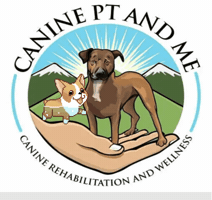 Ivdd In Dogs Treatment GIF