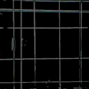 lines