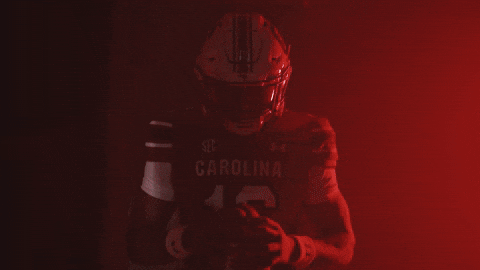 College Football Team GIF by Gamecock Athletics - Find & Share on GIPHY