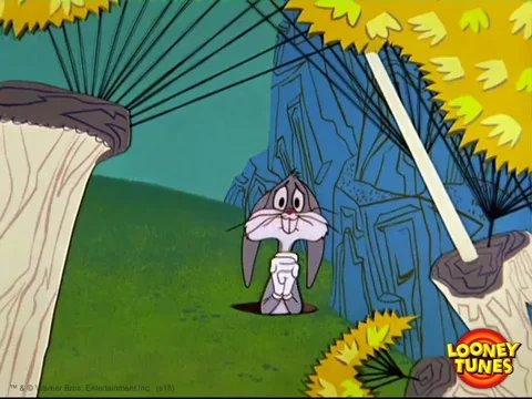 confused bugs bunny GIF by Looney Tunes