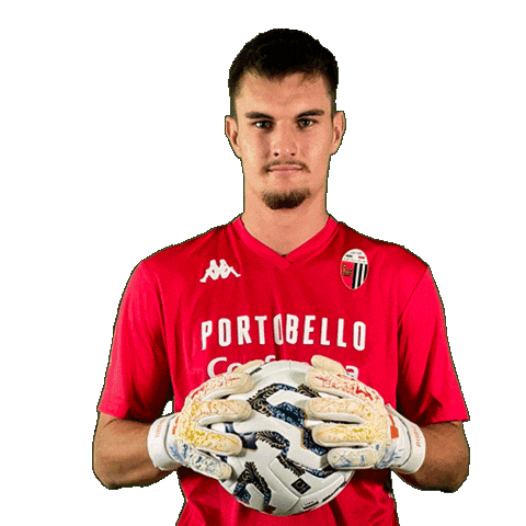 Ball Goalkeeper Sticker by Ascoli Calcio 1898