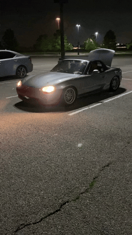 Nb2 GIF by Alienwithacamera