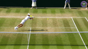 tennis lol GIF by Wimbledon