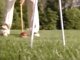 Croquet GIF
