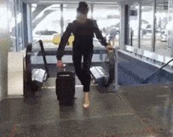 Airport GIFs - Find & Share on GIPHY