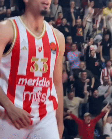 Crvena Zvezda Kkcz GIF