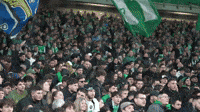 ASSEofficiel-supporters-asse-saint-tienne-uVmLUaA9VgVCujWAKL