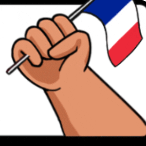 France Hand GIF by Jawaker