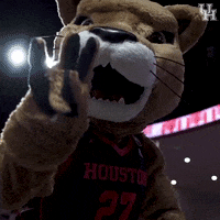 University Of Houston Basketball GIF by Coogfans