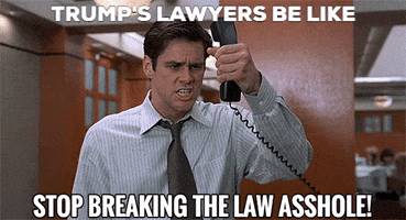 Trump GIF