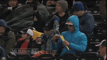 gif mntwins GIF by MLB